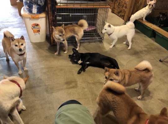 寒い朝は、運動にかぎる！