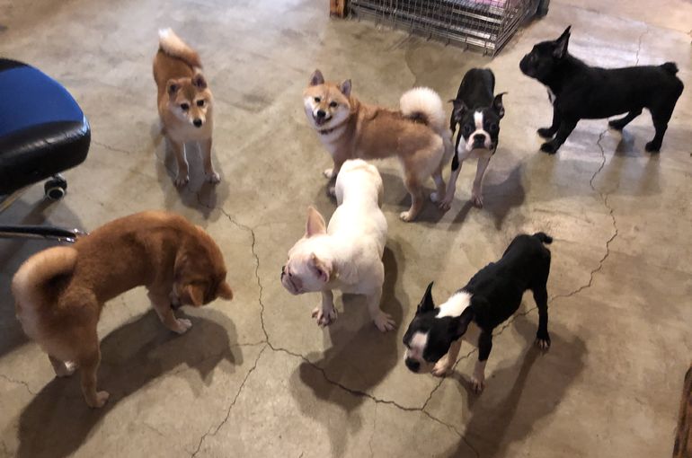 運動中、早く広い所にいきないねー！